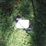 waerters_schlechte-2006-gartenkonzert-87.jpg